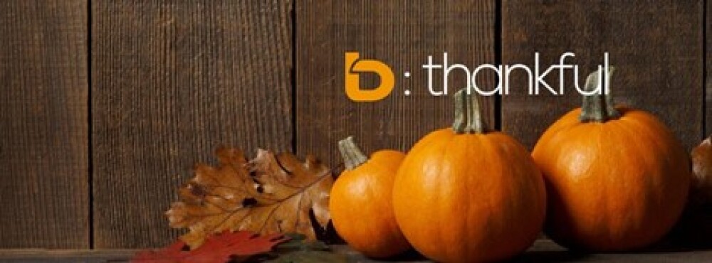 b-LOG: 11 Things That We Niagara Realtors Should be Thankful For