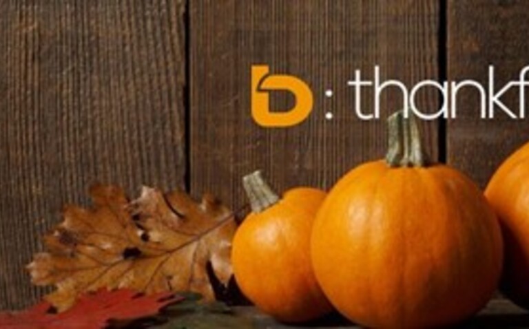 b-LOG: 11 Things That We Niagara Realtors Should be Thankful For