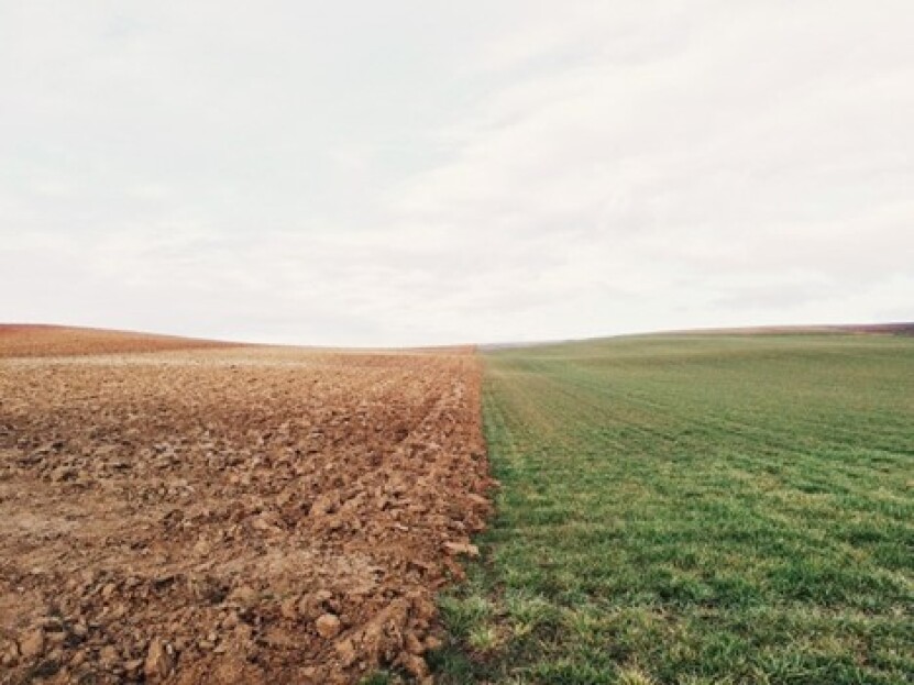 b-LOG: Sometimes the Grass is Brown