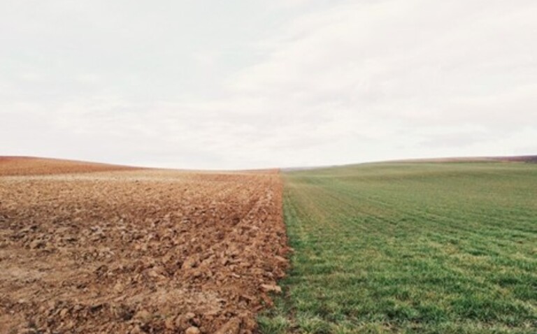 b-LOG: Sometimes the Grass is Brown