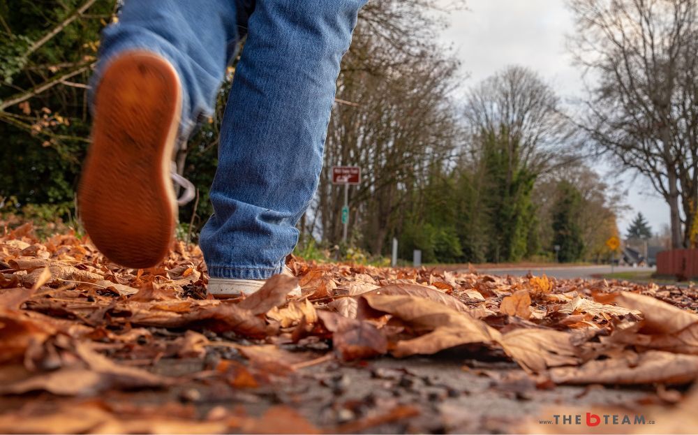 Things to do this Fall in Niagara