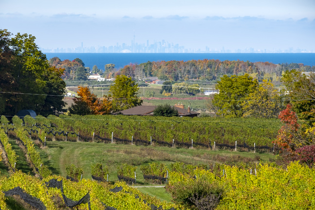 Photo of Lincoln (Jordan/Vineland/Beamsville)