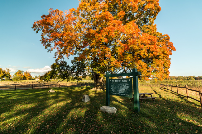 Photo of Fonthill & Pelham