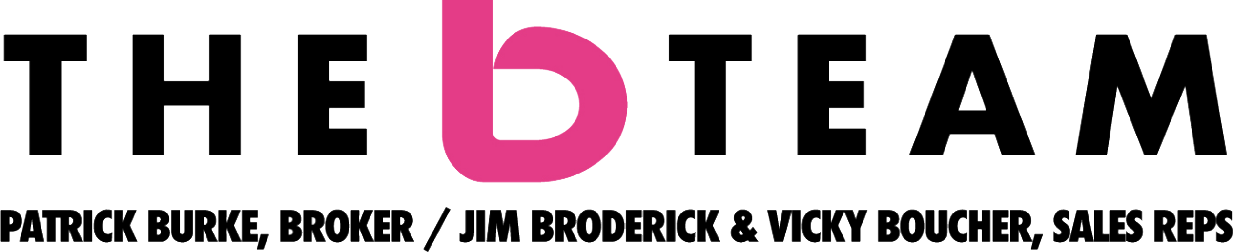 THEbTEAM